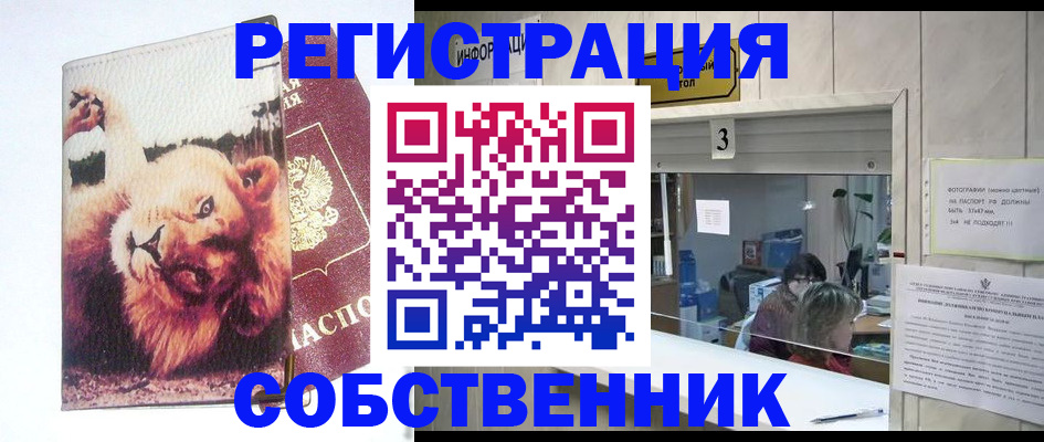 прописка поиск в Ставрополе